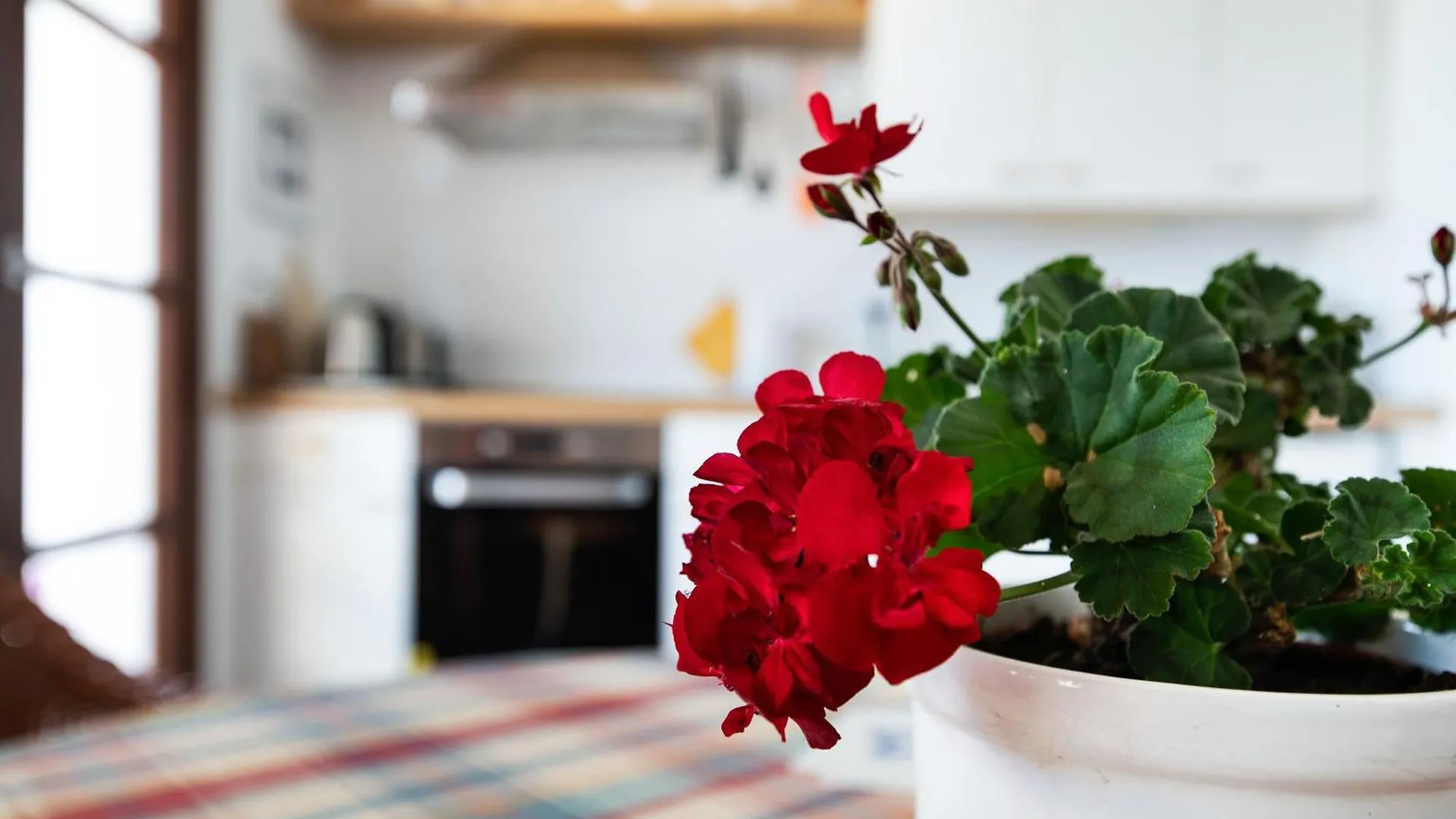 Apartamento En Puerto Del Carmen, 4 푸에르토 델 카르멘 0*,